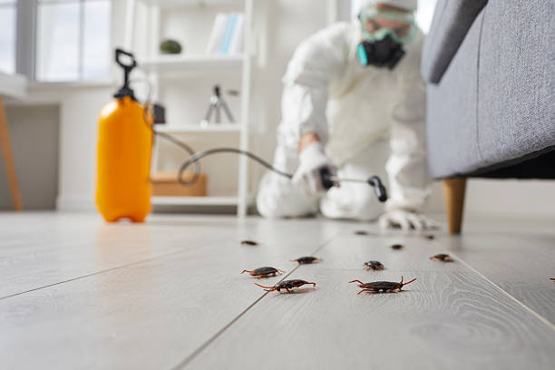 Commercial Kitchen Cockroach Control in Tunkhannock